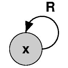 Reflexive x and R